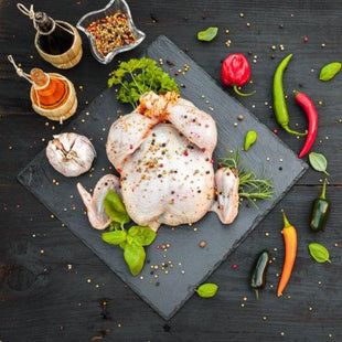 Baby Chicken - دجاجة صغيرة